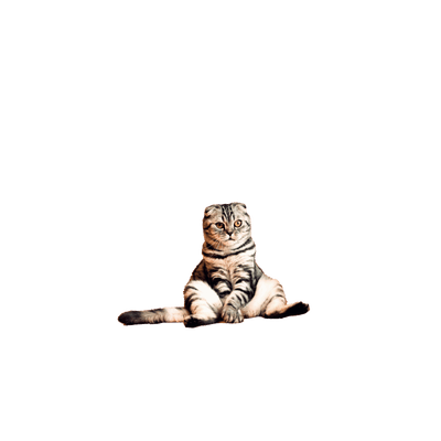Catmere Tarrat