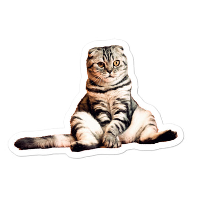 Catmere Tarrat