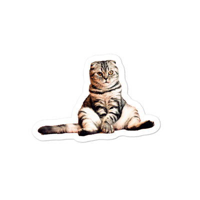 Catmere Tarrat