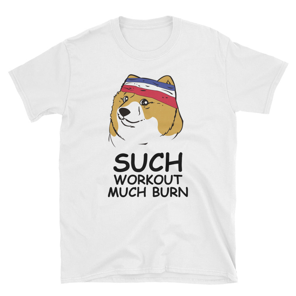 Such Workout. Much Burn. T-Paita